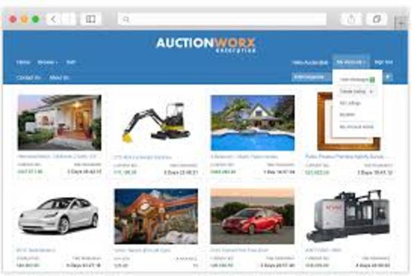 Product picture       Auction-Website-Free-Hosting-with-SSL thumbnail 1     